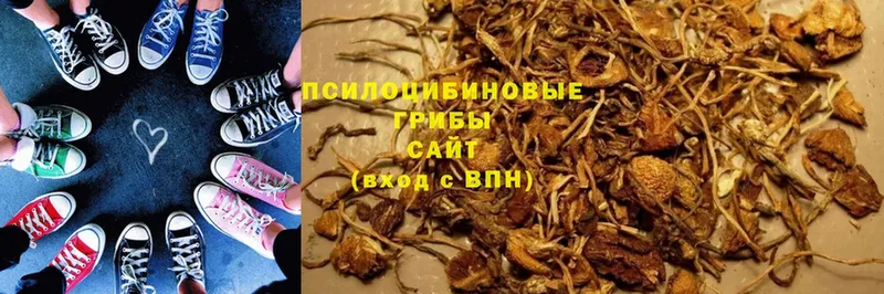 Галлюциногенные грибы Psilocybe  это телеграм  Беслан 